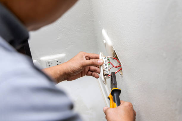 Best Electric Panel Repair  in Silsbee, TX